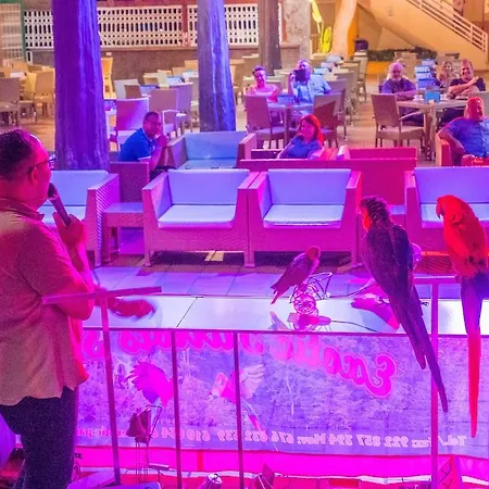 Checkin Atlantida شقة فندقية لوس كريستيانوس